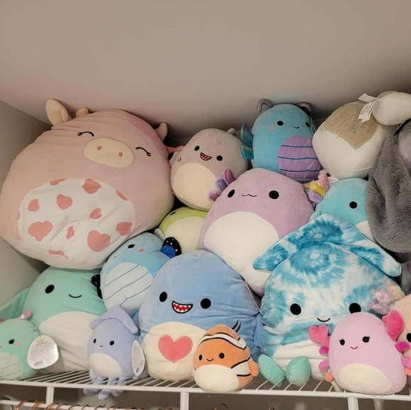 Squishmallows - Picture 3 of 5